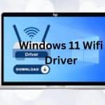 Windows 11 Wifi Driver